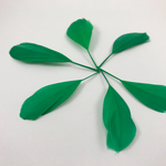 ☆６枚☆グリーン♡本物フェザー(羽根カン付　ゴールド、シルバー選択自由)