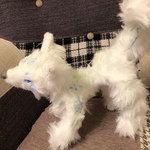 【ねめしす様お取り置き】翡翠の幻獣さん