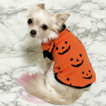 👻🎃ハロウィン👻🕸犬服✨オレンジ✨
