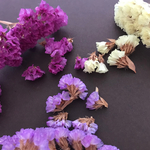 ドライフラワー 花材*.・スターチス3color*.・