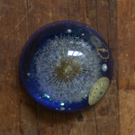 購買部210：星の種　fig.1　<small>