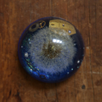購買部211：星の種　fig.1　<large>