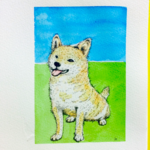 柴犬