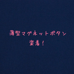 御朱印帳ケース　薄型マグネットボタン