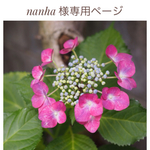 nanha 様専用ページ