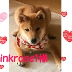 セール！犬・猫32～35　cocoちゃん！リボンチョーカー　ガーベラ・姫