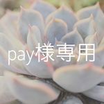 pay様専用 選んでオーダー ミニスワッグ③