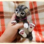 sora117様御予約品あめしゃん4号