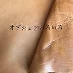 オプションいろいろ