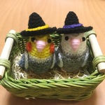インコちゃん用♡ハロウィンぼうし（黒・紫色）