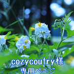 cozycoutry様専用ページ