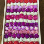 お花屋さんが作った本日の千日紅  107冠set