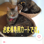mgsyk0320さん専用