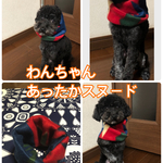 犬スヌード  犬マフラー