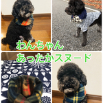 犬スヌード  犬マフラー