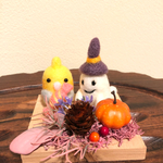 オカメちゃんとハロウィンパーティー🎶
