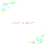 えぬえち様専用