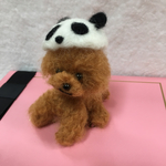 羊毛フェルト パンダとぷ〜ちゃん