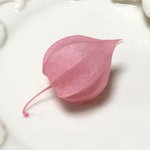 希少素材　ほおずき　ピンク　１個　キャンドル・ハーバリウム封入