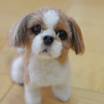 シーズーちゃん　犬　リアル　