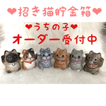 Chii-AA-Ruu樣(2匹分)　専用ページ