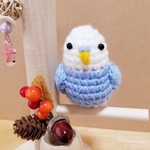 ＊再販＊『にぎころ♡インコ』（ホワイト×ブルー）