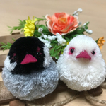 ぽんぽん 文鳥
