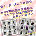 ☆オーダーメイド専用☆