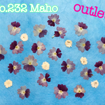 ♡outlet♡バーベナ、ユキヤナギ♡押し花素材♡
