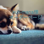 羊毛フェルト ハンドメイド  kuh-mana様 オーダーページ