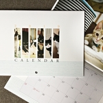 お買い物で繋がる猫達の命［sakuraneko］オリジナル2019年版カレンダー（ラッピング無料）