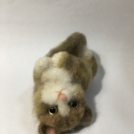 ごろんねこ