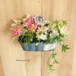 Petit Green Arrange 267