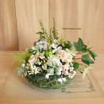 Petit Green Arrange 268