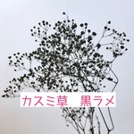 送料無料 カスミ草＊黒ラメ　500円商品4点ごとにお好きな1点おまけ付き☆