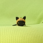 ハロウィン黒猫 ヘアゴム 羊毛フェルト
