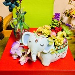 aloha7777777様専用ページ🍀オシャレな象さん🐘とブルーの花瓶💙