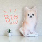 ビッグサイズ　犬　猫　ペット　動物　チワワ　クッション　ぬいぐるみ　インテリア　メモリアル　プレゼント　オーダーメイド　画像　写真　名前　うちの子　親バカ　グッズ　無地c