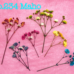 ♡カスミソウ♡お得な6色セット♡押し花素材♡