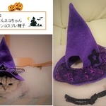 ハロウィン帽子 小型犬猫用 送料無料　pｂ11