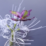 彼岸花  かんざし 曼珠沙華 ～純白～ 蝶々