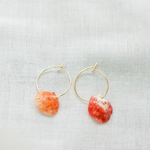 紅い貝殻のピアス