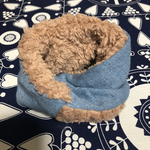 ochappy777様専用 わんちゃんあったかスヌード 