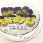 国産ビオラと忘れな草の押し花 サイズアソート 