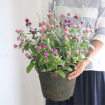 センニチコウの大きな寄せ植え アンティークブラック鉢