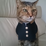 学ランコスプレ
