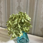 アナベル （花器付き）