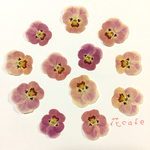 ビオラ⑧ 赤花処理 押し花 素材