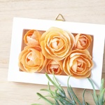 ⭐️4⭐️ ふんわり優しい薔薇を閉じ込めて