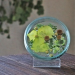  Botanicaldish＊green